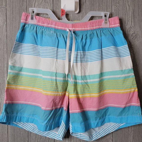 Chubbies Multicolor Striped Men's Swim Trunks - Picture 1 of 4